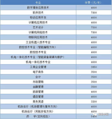 湖南省單招考試報考計算機、軟件類專業院校與重點推薦—聚焦技術開發與銷售